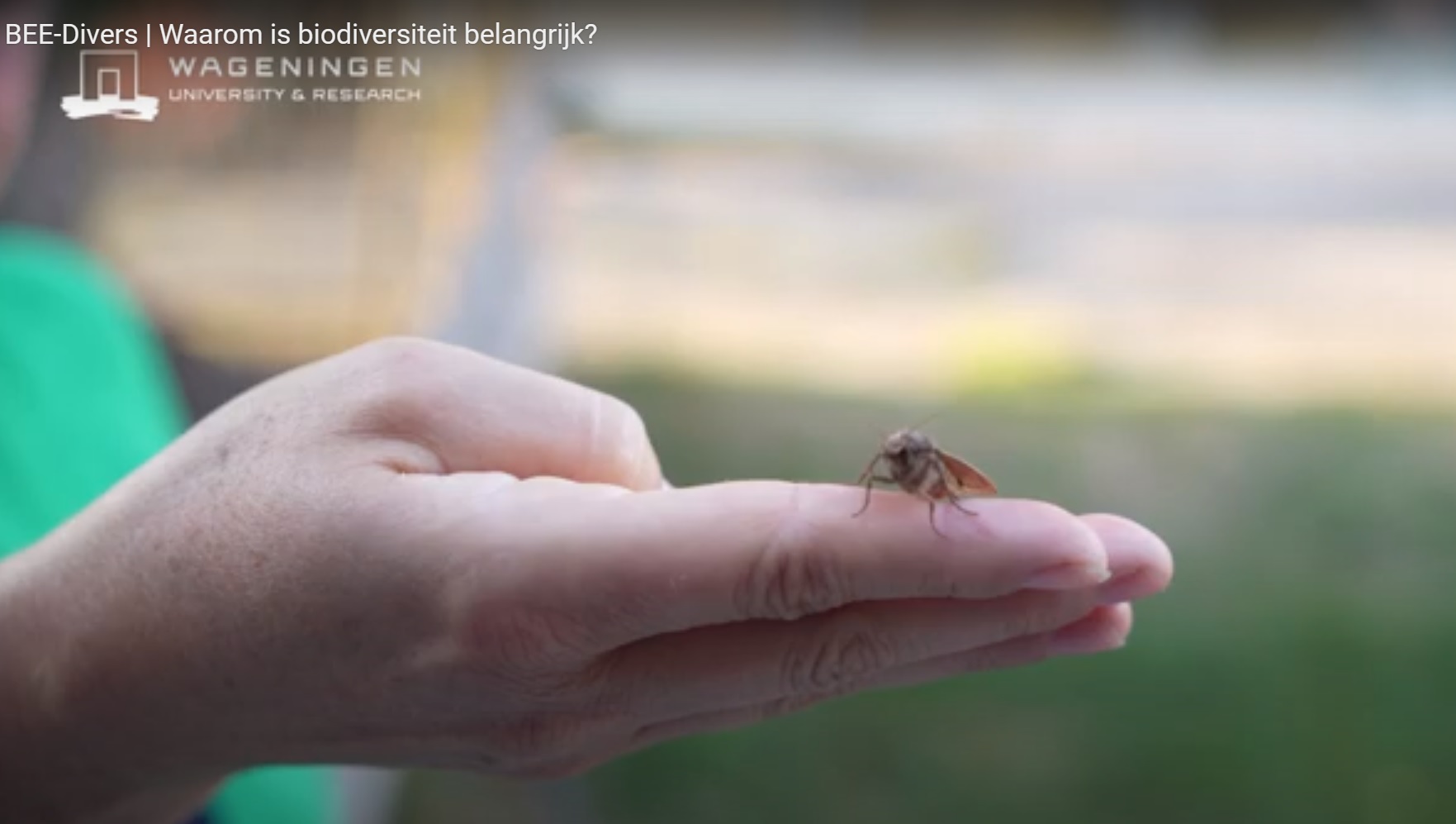 Videoserie over biodiversiteit – Wageningen University & Research